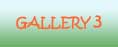 Gallery 3